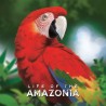 Life of the Amazonia Set