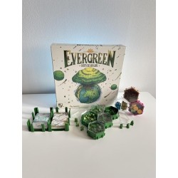 Evergreen Set